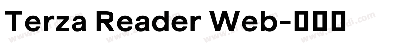 Terza Reader Web字体转换 Terza Reader Web字体转换